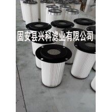 技術(shù)先進(jìn)2米鐵蓋除塵濾芯壽命長(zhǎng)[興科]